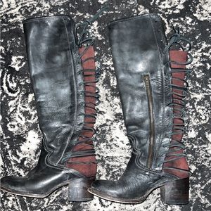 Freebird by Steven Coal